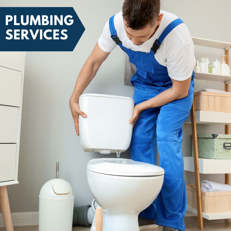 Plumbing Company in Forestville, NY